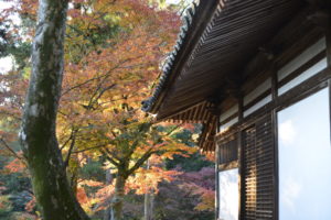 西山興隆寺の紅葉