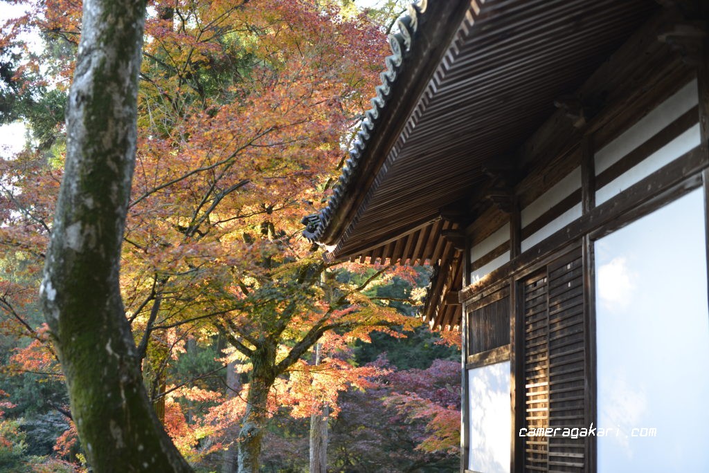 西山興隆寺の紅葉