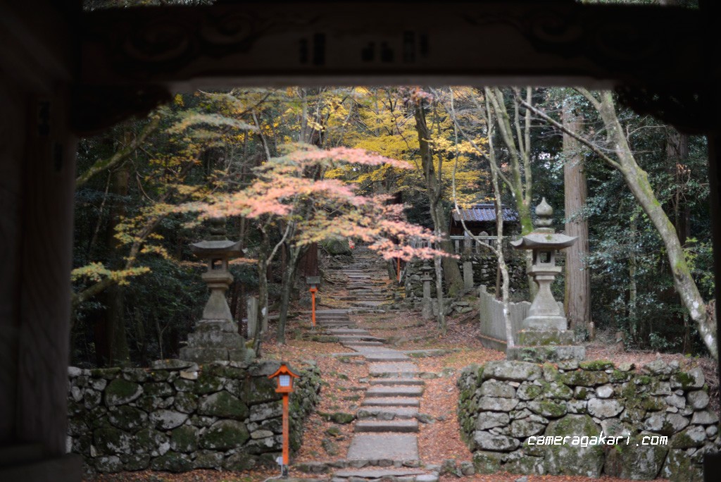西山興隆寺　階段