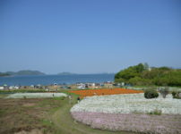 フラワーパーク浦島