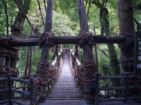 祖谷のかずら橋