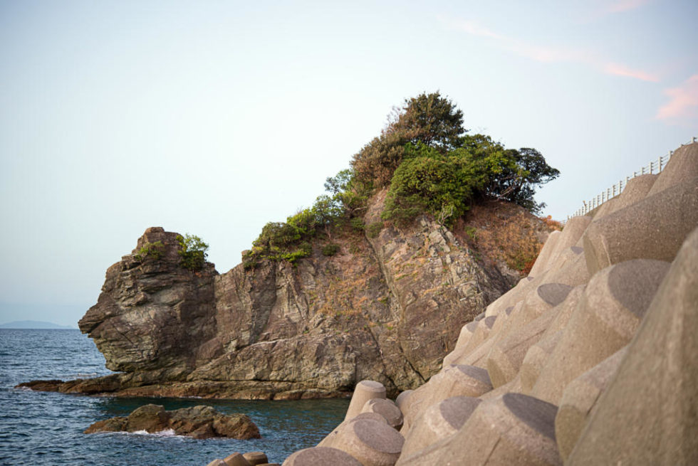 愛媛にも存在するライオン岩は猫岩？全国各地のライオン岩と比較【愛媛のおすすめ写真撮影スポット・インスタ映え