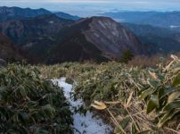 堂ヶ森 登山道