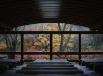 鈍川渓谷森林館の紅葉風景