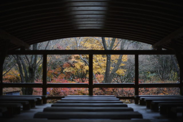 鈍川渓谷森林館の紅葉風景